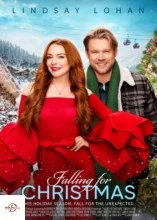 Falling For Christmas