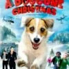 A Doggone Christmas -Music Store image 2 47720 std