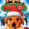 Shelby - The Dog Who Saved Christmas 2 Shelby - The Dog Who Saved Christmas -Music Store image 66171 std