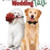 Christmas Wedding Tail -Music Store weddtsl 06337 std